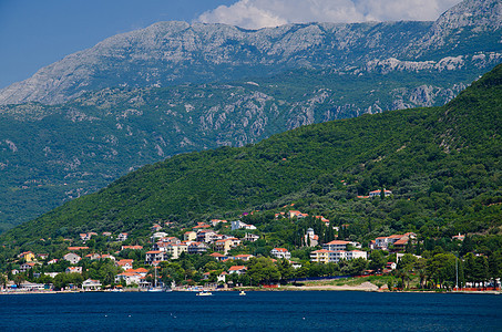 Boka Kotor湾 Herceg Novi和阿尔卑斯山 黑山半岛爬坡蓝色建筑海岸海湾城市地标树木旅行图片