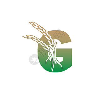 带水稻厂图标插图模板矢量的字母 G图片