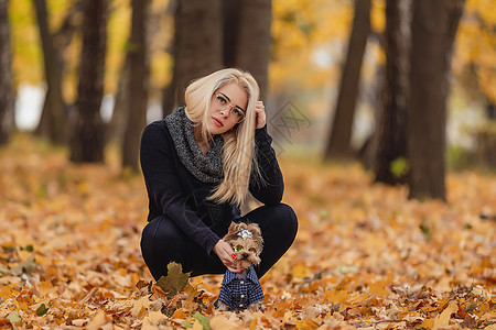 带着日方战狗的女孩羊毛喜悦微笑森林叶子哺乳动物友谊宠物女士金发女郎图片