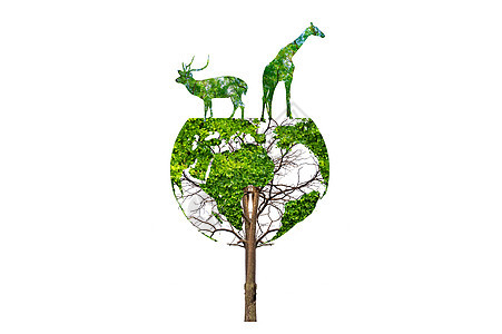 地球野生生物养护概念的环形图野生动物动物环境老虎生态世界森林行星庆典动物园植物图片