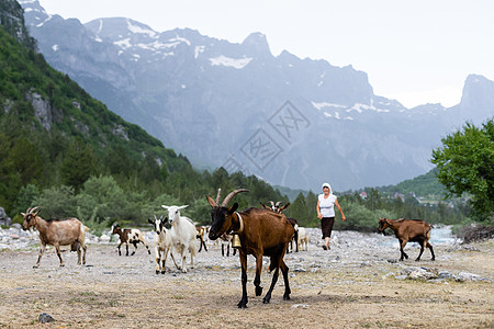 国家公园的山地景观 阿族阿尔卑斯山的图峡谷远足风景水晶森林植被顶峰岩石旅行旅游图片