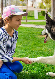 狗给一个男人一只爪子 有选择地集中注意力横幅动物宠物伴侣友谊犬类团队帮助手指朋友图片