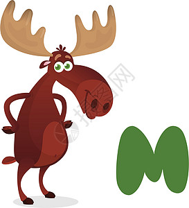 字母“M 代表驼鹿”的插画师 M 代表 mooser 动物字母表集合 矢量图图片