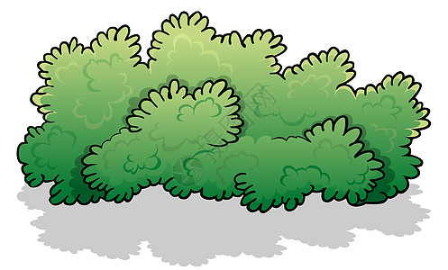 绿环灌木图片