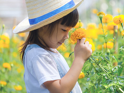 戴着帽子的可爱小女孩正在万寿菊花园里闻花香 可爱的女孩在美丽的花园里玩耍 一个小园丁图片
