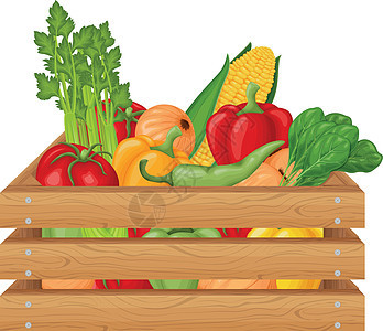 一盒蔬菜 如西红柿 辣椒 洋葱 玉米 芹菜和香草 装有蔬菜的木箱 来自花园的有机食品 向量图片