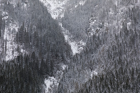 空中 暴风雪期间山区的冬季森林图片