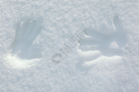 雪上有两个棕榈脚印 有复制空间的肖像图片