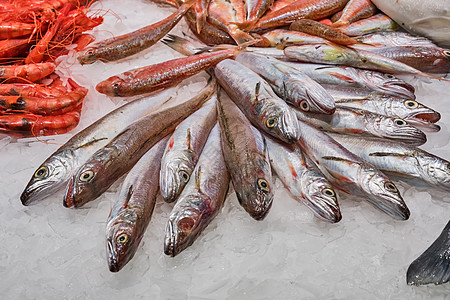 赤棕鱼片出售的鱼和海鲜甲壳鱼片动物市场章鱼渔业棕褐色鱿鱼乌贼盐水背景
