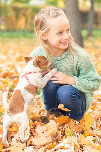 纯种小狗 有幼白的黑人女孩叶子情绪金子友谊猎犬正面乐趣动物孩子微笑图片