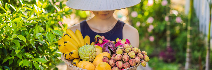 戴越南帽子的水果种类繁多 越南帽中的妇女商业城市食物海滩女性人行道街道热带文化椰子图片