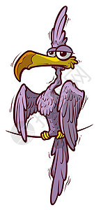 可爱的漫画有趣的紫色鹦鹉图片