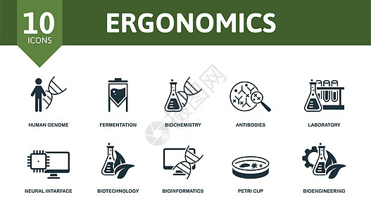 人体工程学设置图标 可编辑图标人体工程学主题 如人类基因组 生物化学 实验室等安全姿势长椅房间骨科脊柱椅子标识工作职场图片