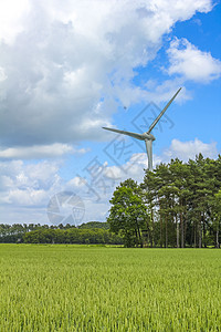 德国北部农业田风力涡轮机 自然景观全景 德国蓝色天空效率草地牧场风车旅行发电机农村家畜图片