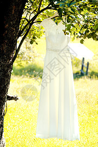 新娘着装婚纱礼服裙子模型衣架材料女性成人裁缝丝绸奢华设计师图片