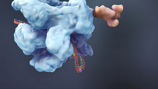 3D动画DNA的遗传结构科幻螺旋科学蓝色视效插图小说生物学技术教育图片