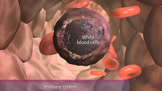 Chemotaxis是生物体在化学刺激下运动的产物生物静脉斑点原生质麦片蓝色外星人趋化性原虫衰变图片