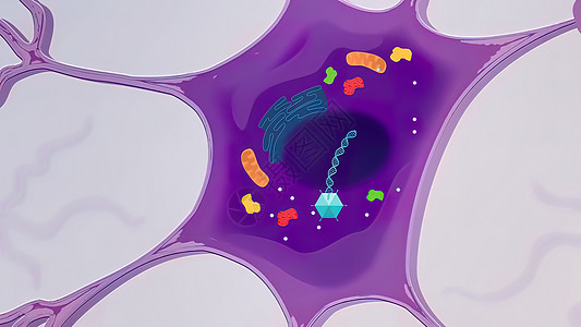 将具有 DNA 序列的基因转化为功能性蛋白质结构的过程科学计算机生活染色体疾病动态癌症治疗小说基因组图片