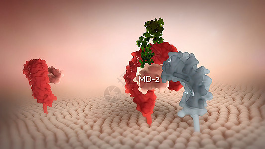 的化学生物学文字白色艺术糖基团体嘌呤同义词词云能力标签背景图片