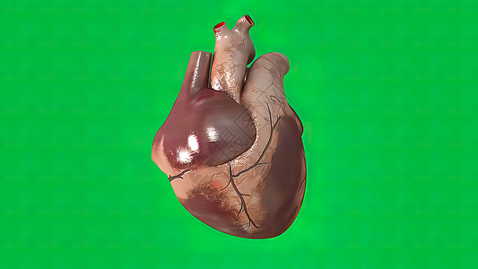 绿屏幕上的心跳警报心脏病失败充血性男性心血管心绞痛有氧运动成人速度图片