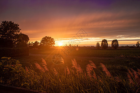 金色日落 农村全景旅行农田橙子季节国家阳光环境农业风景农场图片