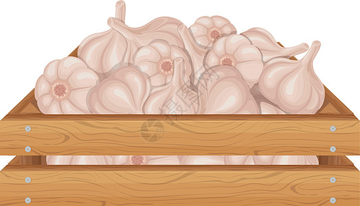 蒜 大蒜木箱 成熟的农场蔬菜 在一个木箱里的大蒜 在白色背景上孤立的矢量图图片