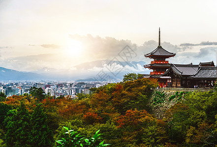 日本京都寺庙和京都宝塔历史性旅游神道神社花园宗教地标吸引力樱花图片