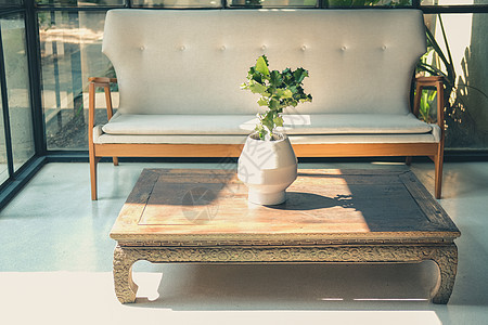 起居室有白色坐垫沙发沙发的仙人掌植物桌子装饰木头家具座位房间软垫长椅住宅褐色图片