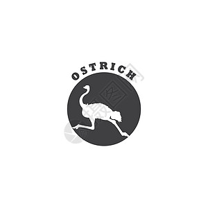 oostric 图标情调收藏哺乳动物异国绘画艺术荒野脖子动物园野生动物图片