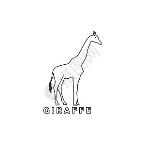 Giraffe 图标动物园动物插图哺乳动物绘画草图艺术标识荒野野生动物图片