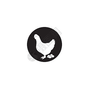 母鸡图标家禽小鸡家畜标签动物农业插图标识屠宰场黑色图片