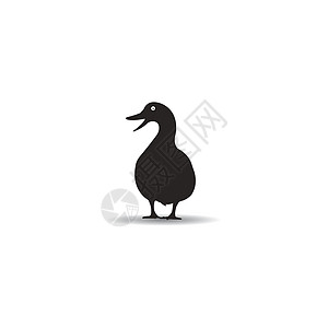 鸭鸭图标羽毛卡通片鸭子孩子农业商业宠物艺术绘画动物图片