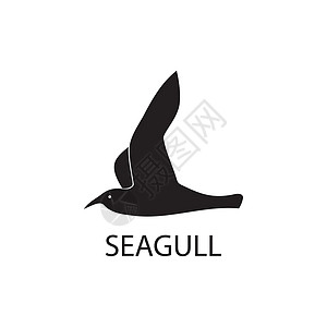 Seagull 图标图标模板矢量设计海洋天空野生动物翅膀海浪旅行海滩航班空气艺术图片