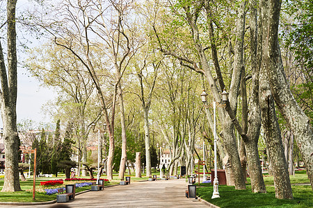 春季伊斯坦布尔Gulhane公园的通道 Fatih区图片