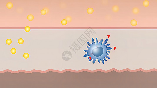 3D 宏观和细胞医学插图单细胞微生物学计算机结构免疫学药品专注红细胞病原医疗图片
