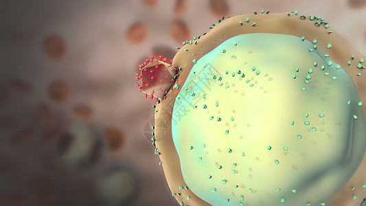 病毒对细胞的破坏作用感染预防病菌细菌微生物学病原肝炎暴发疫苗流感图片
