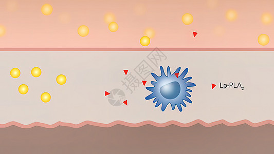 3D 宏观和细胞医学插图流感人体免疫学细胞质癌症生物学单细胞生物脂肪酸细菌图片