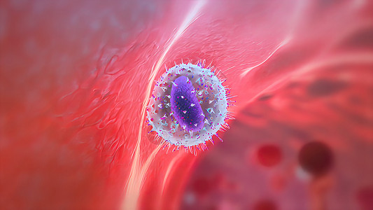 细木板是一个单能干细胞 它区分成电效应器生长遗传细胞模式生物学化学改造高分子螺旋研究图片