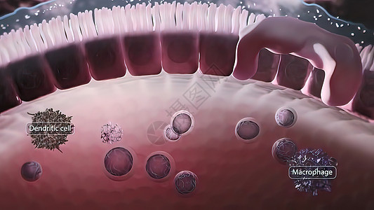 免疫系统及防御系统感冒药品人体癌症生理生活文件计算机胰腺癌细胞图片