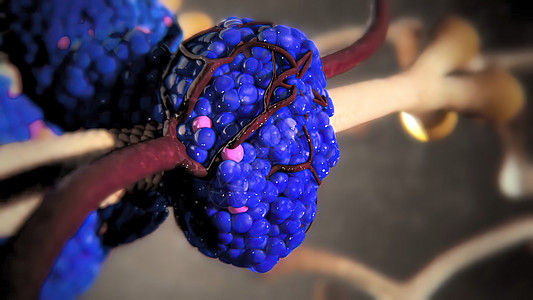 内分泌胰腺功能解剖学核子世界血管结构毛细管分子细胞葡萄糖人体专注图片