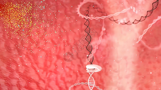 DNA螺旋突变密码研究模式核酸生物学医学结构高分子化学基因图片