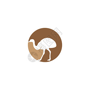 oostric 图标翅膀异国鸵鸟脖子荒野收藏哺乳动物食物野生动物羽毛图片