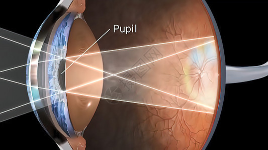 人眼视觉结构结膜卫生染料瞳孔眼科药品插图脉络膜科学眼睛背景图片