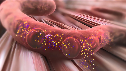 胰岛素告诉整个身体的细胞 从血液中抽取甘甘蔗糖激素图表心血管代谢生物学红细胞糖尿病信号插图细胞质图片
