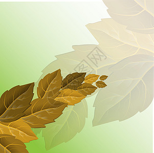 矢量秋天插画 美丽的树叶秋天季节性背景图案 秋天树向量 自然插画黄色红色边界墙纸插图绿色花园框架植物学森林图片