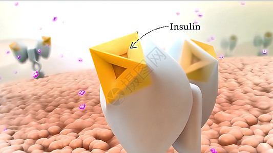 胰岛素是一种生成的荷尔蒙解剖学疾病插图药品葡萄糖途径有氧运动激素细胞糖尿病图片