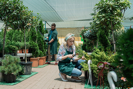 在温室的现代苗圃仓库工作园艺员男人植物学零售花园花店顾客工人微笑店铺围裙图片