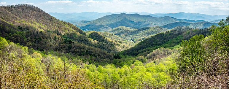 Pisgah国家森林的景观风景观蓝色草地最高点光头风景祖父岩石全景山脉数控图片