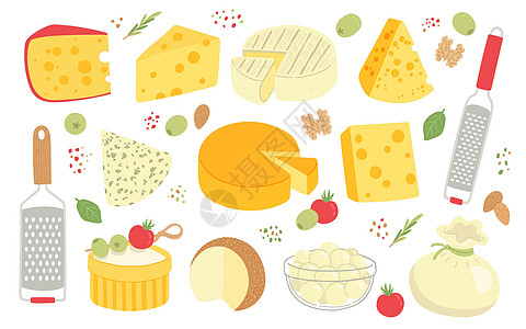 乳酪组装奶制品公寓设计矢量图片