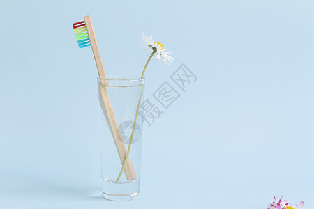 一种生态木牙刷 一个有清洁 清净水的玻璃杯和一个蓝底白菊花背景图片